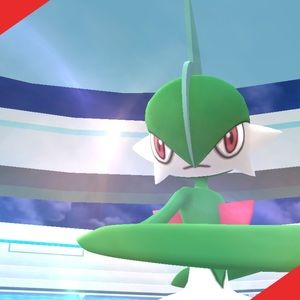 Meet your Posher, Paco